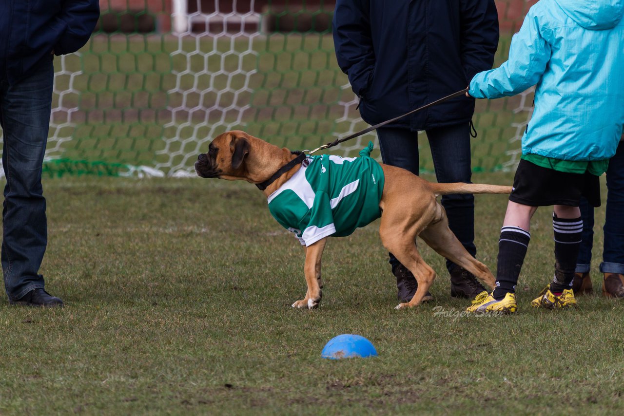 Bild 90 - D-Juniorinnen SV Bokhorst - FSC Kaltenkirchen : Ergebnis: 1:8